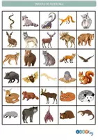 Aperçu - Apprentissages en autonomie - Les jeux de codage sur les animaux de la foret - Page 3