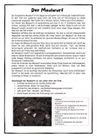 Vorschau - Stundenentwürfe - 15 Infotexte zu Wirbeltieren - Aufgaben und Steckbrief - Seite 2