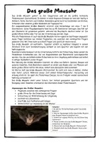 Vorschau - Stundenentwürfe - 15 Infotexte zu Wirbeltieren - Aufgaben und Steckbrief - Seite 3