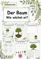 Vorschau - Arbeitsblätter - Der Baum im Sachunterricht, inkl. Lebenszyklus , Baumteile - Deckblatt