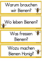 Vorschau - Präsentationen/Tafelbilder - Biene Sachunterricht Bildkarten | Tafelmaterial Klasse 1-2 - Seite 3