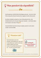 Vorschau - Stationenlernen - Chemie Experimente Grundschule | Klasse 1-3 Sachunterricht - Seite 2