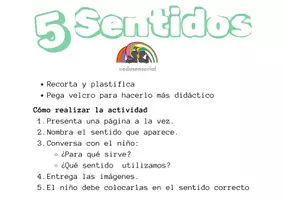 Vista previa - Refuerzo / NEE / Materiales de apoyo - Los Sentidos - página 1