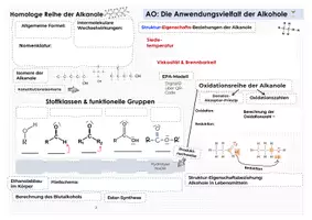 Vorschau - Unterrichtsreihen - VIELSEITIGKEIT DER ALKANOLE: Kluges Merkblatt und Advance Organizer - Seite 1