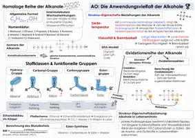 Vorschau - Unterrichtsreihen - VIELSEITIGKEIT DER ALKANOLE: Kluges Merkblatt und Advance Organizer - Seite 3