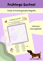 Vorschau - Arbeitsblätter - Frühlings-Suchsel - 14 Begriffe inklusive Lösungsblatt - Deckblatt