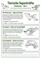 Vorschau - Arbeitsblätter - Tierische Fähigkeiten – 4 Vertretungsstunden zu Superkräften, Verteidigung, Teamarbeit und Sinnen - Seite 3