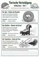 Vorschau - Arbeitsblätter - Tierische Verteidigung – Wie Tiere sich schützen - Seite 2
