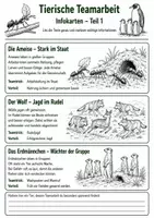Vorschau - Arbeitsblätter - Tierische Teamarbeit – Wie Tiere zusammenarbeiten - Seite 2