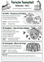 Vorschau - Arbeitsblätter - Tierische Teamarbeit – Wie Tiere zusammenarbeiten - Seite 3