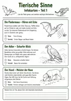 Vorschau - Arbeitsblätter - Tierische Sinne – Wie Tiere die Welt wahrnehmen - Seite 2