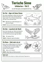 Vorschau - Arbeitsblätter - Tierische Sinne – Wie Tiere die Welt wahrnehmen - Seite 3