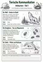 Vorschau - Arbeitsblätter - Tierische Kommunikation – Wie Tiere sich verständigen - Seite 2