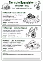 Vorschau - Arbeitsblätter - Tierische Baumeister – Wie Tiere bauen und wohnen - Seite 3