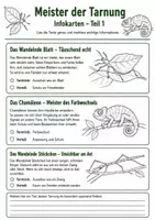 Vorschau - Arbeitsblätter - Meister der Tarnung – Wie Tiere sich verstecken und schützen - Seite 2