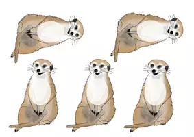 Vorschau - Bildkarten - Geburtstagskalender Erdmännchen - Seite 1
