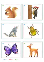 Vorschau - Spiele - Waldtiere – Bildkarten | Tiere im Wald | 35 Karten mit Artikelpunkten in zwei Größen | Kita Grundschule - Seite 2