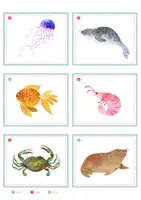 Vorschau - Spiele - Meerestiere – Bildkarten | Tiere im Meer | 35 Karten mit Artikelpunkten in zwei Größen | Kita Grundschule - Seite 3