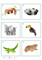 Vorschau - Spiele - Zootiere – Bildkarten | Tiere im Zoo | 54 Karten mit Artikelpunkten in zwei Größen | Kita Grundschule - Seite 3