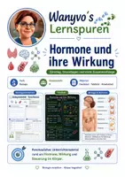 Vorschau - Arbeitsblätter - Wanyvo´s Lernspuren Einstieg - Hormone und ihre Wirkung - Deckblatt