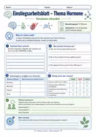 Vorschau - Arbeitsblätter - Wanyvo´s Lernspuren Einstieg - Hormone und ihre Wirkung - Seite 2