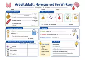 Vorschau - Arbeitsblätter - Wanyvo´s Lernspuren Hormone und ihre Wirkung Allgemein - Seite 2
