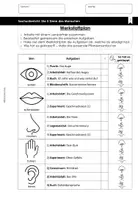 Vorschau - Arbeitsblätter - Werkstattplan - Die 5 Sinne des Menschen (ab 2. Klasse) - Seite 2
