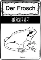 Vorschau - Arbeitsblätter - Der Frosch - Forscherheft - Seite 2