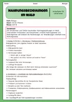 Vorschau - Stundenentwürfe - Nahrungsbeziehungen im Wald - Produzenten + Konsumenten | Unterrichtsreihe "Ökosystem Wald", Biologie 7.-8. Klasse - Seite 1