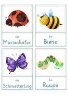 Vorschau - Spiele - Insekten – Wort- und Bildkarten | 15 Insekten mit Artikel & Silbenschrift | differenziert Kita bis Klasse 2 | DaZ - Seite 1