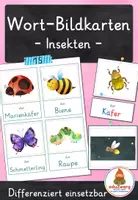 Vorschau - Spiele - Insekten – Wort- und Bildkarten | 15 Insekten mit Artikel & Silbenschrift | differenziert Kita bis Klasse 2 | DaZ - Deckblatt