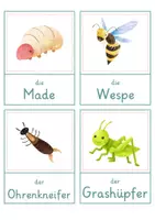 Vorschau - Spiele - Insekten – Wort- und Bildkarten | 15 Insekten mit Artikel & Silbenschrift | differenziert Kita bis Klasse 2 | DaZ - Seite 3