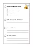 Vorschau - Arbeitsblätter - Wissens- und Könnensstandermittlung zum Thema Honigbiene - Seite 2