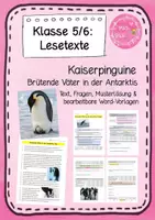 Vorschau - Arbeitsblätter - Brütende Väter in der Antarktis – Sachtext Kaiserpinguine Übung Leseverstehen Klasse 5/6 - Deckblatt