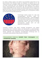 Vorschau - Arbeitsblätter - Hochverarbeitete Lebensmittel: Gesundheit, Darmmikrobiom & Stoffwechsel - Seite 3