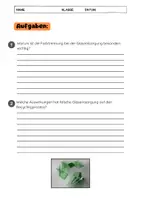 Vorschau - Arbeitsblätter - Glasentsorgung Unterrichtsmaterial: Glasrecycling & Mülltrennung - Seite 3