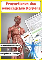 Vorschau - Arbeitsblätter - Proportionen des menschlichen Körpers - Deckblatt