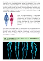Vorschau - Arbeitsblätter - Proportionen des menschlichen Körpers - Seite 3