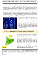 Vorschau - Arbeitsblätter - Sauerstoff: Eigenschaften, Fotosynthese, Oxidation, Atmung - Seite 1