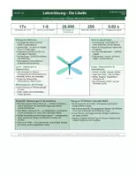 Vorschau - Unterrichtsreihen - Stimmskulpturen zum Symbol der Libelle am Beispiel von "22 Bahnen" - Seite 2