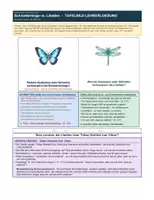 Vorschau - Unterrichtsreihen - Stimmskulpturen zum Symbol der Libelle am Beispiel von "22 Bahnen" - Seite 3