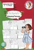Vorschau - Arbeitsblätter - Steckbriefe Wiesenpflanzen | Sachunterricht Klasse 2-4 - Deckblatt