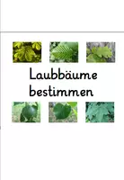Vorschau - Arbeitsblätter - XXL Paket Bäume bestimmen: AB, Faltbuch, Powerpoint-Quiz, große Bildkarten und interaktives PDF Bestimmungsspiel - Deckblatt