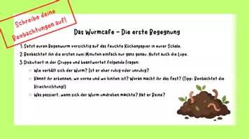 Vorschau - Arbeitsblätter - Speed-Dating mit dem Regenwurm - Tiere im Unterricht - Seite 3