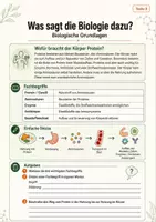 Vorschau - Arbeitsblätter - Bio-Faktencheck: Protein-Hype - Unterrichtsmaterial zu Eiweiß, Muskelaufbau, Werbung und Ernährungstrends - Seite 3