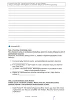 Vorschau - Unterrichtsreihen - English für Gärtner: The Perennial Garden Design, Soil, and Care - Seite 3