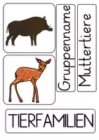 Vorschau - Präsentationen/Tafelbilder - Tafelmaterial Waldtierfamilien - Seite 2