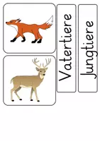 Vorschau - Präsentationen/Tafelbilder - Tafelmaterial Waldtierfamilien - Seite 3