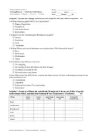 Vorschau - Test - Lernzielkontrolle Klasse 6 — Wehrhafte Pflanzen & Samenausbreitung mit Transferaufgabe - Seite 1