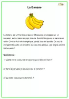 Aperçu - Feuilles d'exercices - 40 textes de thèmes différents - Page 2